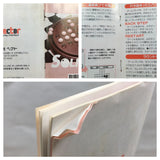 UF3019 Solitaire BOXED GameBoy Game Boy Japan