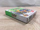 UF3021 Dragon Quest Monsters 2 Ruka BOXED GameBoy Game Boy Japan