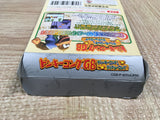UF3028 Donkey Kong Land 3 Diddy Kong Dixie Kong BOXED GameBoy Game Boy Japan