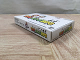 UF3034 Mario & Luigi RPG BOXED GameBoy Advance Japan