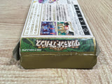 UF3035 Wario Land Advance Mario BOXED GameBoy Advance Japan