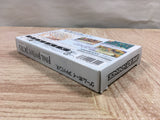 UF3047 Final Fantasy Tactics Advance BOXED GameBoy Advance Japan