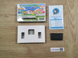 UF3066 Tottoko Hamutaro 4 BOXED GameBoy Advance Japan