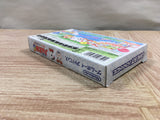 UF3066 Tottoko Hamutaro 4 BOXED GameBoy Advance Japan