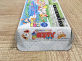 UF3066 Tottoko Hamutaro 4 BOXED GameBoy Advance Japan