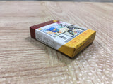 UF3071 Shin Onigashima Zenkouhen BOXED GameBoy Advance Japan