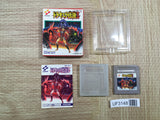 UF3148 Castlevania II 2 Belmont's Revenge BOXED GameBoy Game Boy Japan