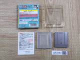 UF3151 Detective Conan Chika Yuuenchi Satsujin Jiken BOXED GameBoy Game Boy Japan