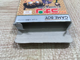 UF3151 Detective Conan Chika Yuuenchi Satsujin Jiken BOXED GameBoy Game Boy Japan