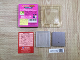 UF3152 Nekketsu Kouha Kunio Kun Bangai Rantou Hen BOXED GameBoy Game Boy Japan