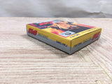 UF3153 Fist of The North Star Hokuto no Ken BOXED GameBoy Game Boy Japan