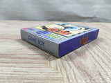 UF3160 Mario's Picross BOXED GameBoy Game Boy Japan