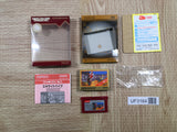 UF3164 Excitebike BOXED GameBoy Advance Japan