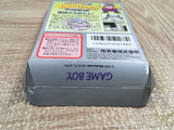 UF3266 Super Mario Land 3 Wario Land BOXED GameBoy Game Boy Japan