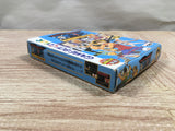 UF3272 OnePiece Yume no Rufi Kaizokudan Tanjou! BOXED GameBoy Game Boy Japan
