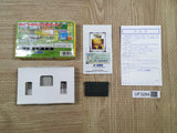 UF3284 Pinobee Adventure BOXED GameBoy Advance Japan