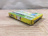 UF3284 Pinobee Adventure BOXED GameBoy Advance Japan