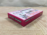 UF3287 Futari wa Pretty Cure BOXED GameBoy Advance Japan
