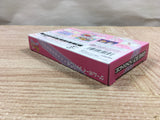 UF3288 Futari wa Pretty Cure Max Heart BOXED GameBoy Advance Japan