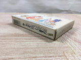 UF3306 Final Fantasy 3 BOXED NES Famicom Japan
