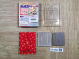 UF3393 Pokemon Red BOXED GameBoy Game Boy Japan