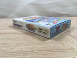 UF3522 Wave Race Ramble Pak Ver. BOXED N64 Nintendo 64 Japan