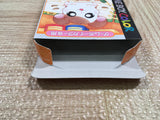 UF3531 Tottoko Hamutaro Tomodachi Daisakusen de Chu BOXED GameBoy Game Boy Japan