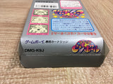 UF3622 Kirby Kirby's Pinball Land BOXED GameBoy Game Boy Japan
