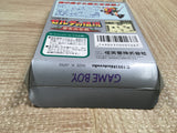 UF3624 The Legend of Zelda Link's Awakening BOXED GameBoy Game Boy Japan