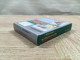 UF3624 The Legend of Zelda Link's Awakening BOXED GameBoy Game Boy Japan