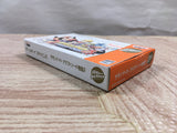 UF3632 Summon Night Craft Sword Story 2 BOXED GameBoy Advance Japan