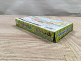 UF3635 Ochaken no Yumebouken BOXED GameBoy Advance Japan
