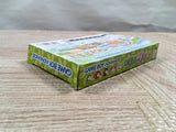 UF3635 Ochaken no Yumebouken BOXED GameBoy Advance Japan