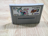 UF3754 Super Bomberman 3 Nintendo Super Famicom SNES Japan