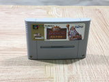 UF3759 Dai Bakushou Jinsei Gekijou Ooedo Nikki Nintendo Super Famicom SNES Japan