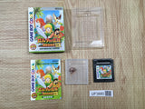UF3880 The Legend of Zelda Link's Awakening DX Nintendo GameBoy Japan