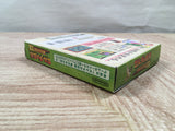 UF3880 The Legend of Zelda Link's Awakening DX Nintendo GameBoy Japan