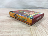UF3884 The Legend of Zelda Oracle of Seasons Nintendo GameBoy Japan