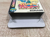 UF3885 Hunter x Hunter Hunter no Keifu Nintendo GameBoy Japan