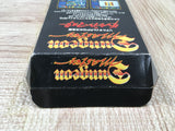 UF3943 Dungeon Master Nintendo Super Famicom SNES Japan