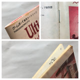 UF3990 Ultima Runes of Virtue Nintendo GameBoy Japan