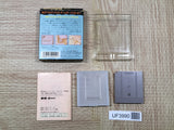 UF3990 Ultima Runes of Virtue Nintendo GameBoy Japan