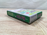 UF3995 Pokemon Green Nintendo GameBoy Japan
