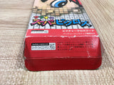 UF4021 Mario's Super Picross Nintendo Super Famicom SNES Japan