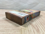 UF4027 Super Donkey Kong Country 3 Nintendo Super Famicom SNES Japan