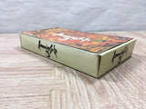 UF4034 Romancing Sa Ga 3 Nintendo Super Famicom SNES Japan