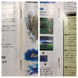 UF4036 Bahamut Lagoon Nintendo Super Famicom SNES Japan