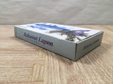 UF4036 Bahamut Lagoon Nintendo Super Famicom SNES Japan