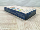 UF4044 Nobunaga no Yabou Haouden Nintendo Super Famicom SNES Japan