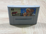 UF4046 Super Aoki Ookami to Shiroki Mejika Nintendo Super Famicom SNES Japan